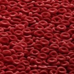 Понижен цветовой показатель крови у ребенка: причины и что делать