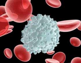 Повышенный уровень лимфоцитов в крови у ребенка